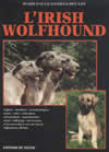 L'Irish Wolfhound
