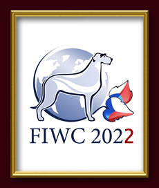 FIWC 2020 - Czech Republic