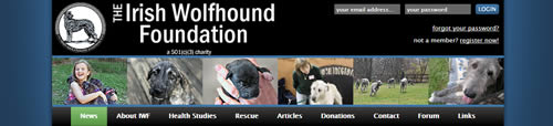 The Irish Wolfhound Foundation