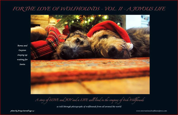 FOR THE LOVE OF WOLFHOUNDS VOL II - A JOYOUS LIFE